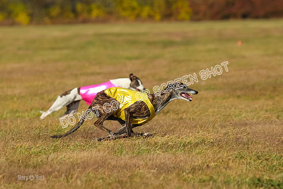 Finals Open 1, Mayhem Bullet-9438