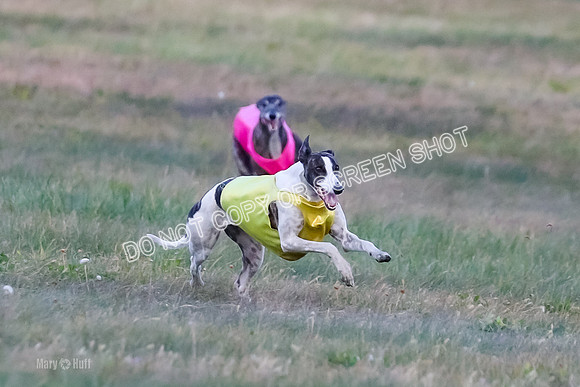 Prelim Open 1, Bullet Mayhem-8723