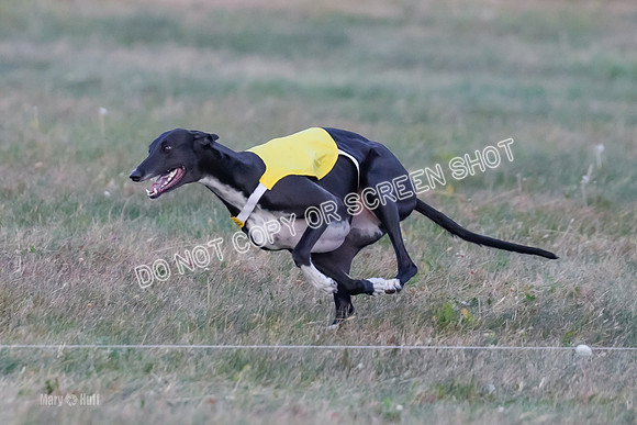 Prelim Fch 1, Summertime Alice-8773