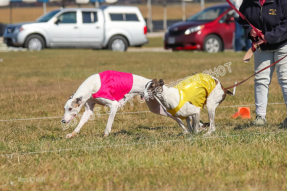 Run-Offs-BOB-0163
