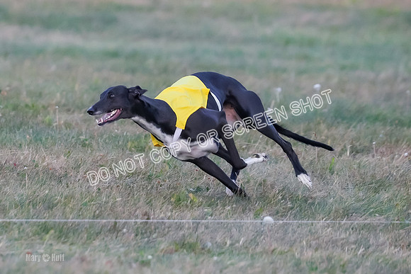 Prelim Fch 1, Summertime Alice-8772