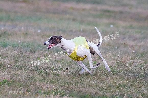 Prelim Open 1, Bullet Mayhem-8736