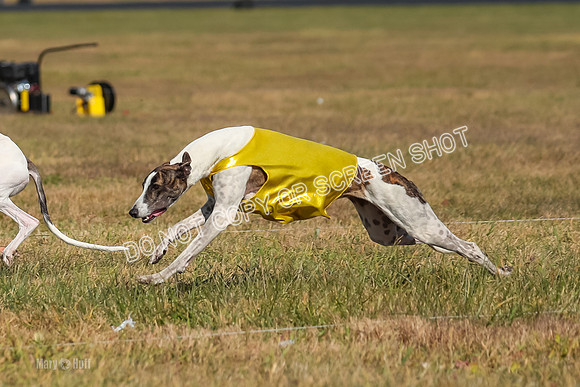 Run-Offs-BOB-0173