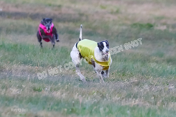 Prelim Open 1, Bullet Mayhem-8725