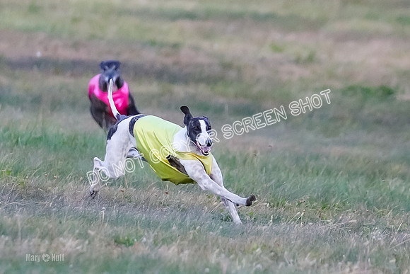 Prelim Open 1, Bullet Mayhem-8724