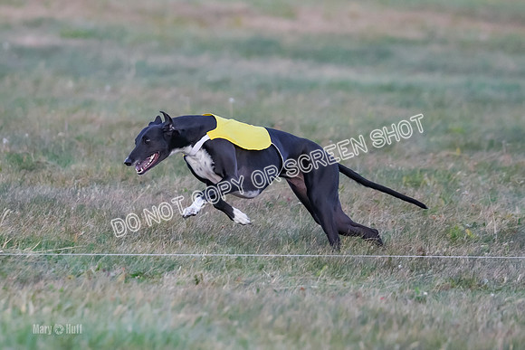 Prelim Fch 1, Summertime Alice-8774