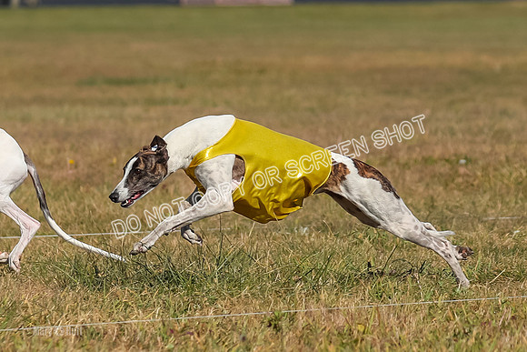 Run-Offs-BOB-0169
