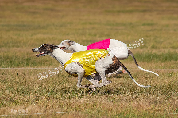 Run-Offs-BOB-0185