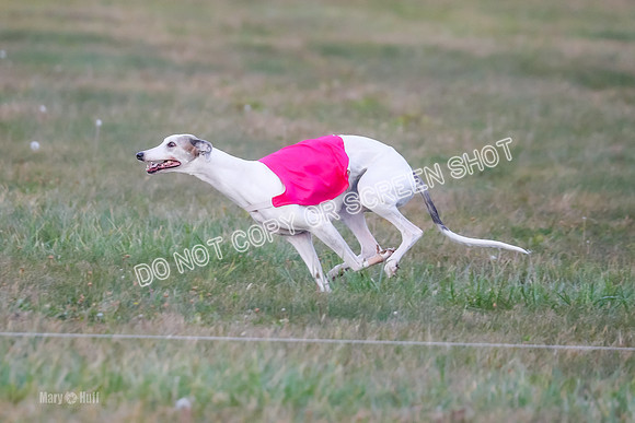 Prelim Fch 1, Summertime Alice-8781