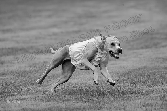 Prelims Zara-0826-2