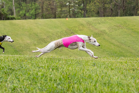 Prelims Open A2, Poppy Mateo Misty-3179