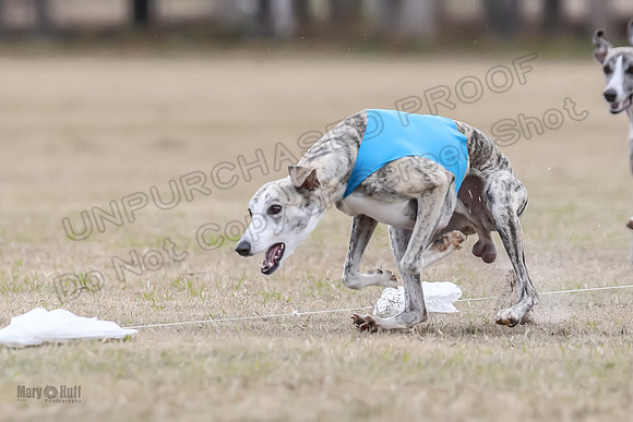 Finals Open 1 Steel Maverick Eggsy-3868
