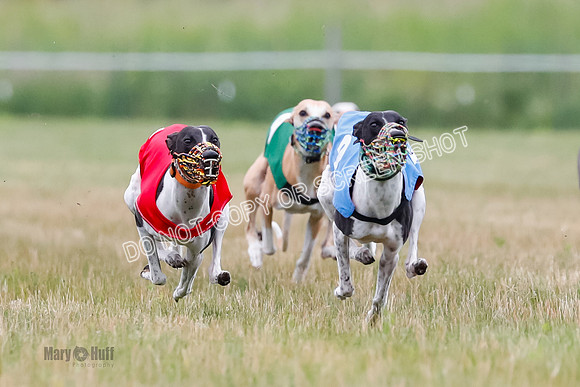 Prg 3, Race 2, Chuck-Tusi-Smokey-Raz-Angel-Nathalia-1049
