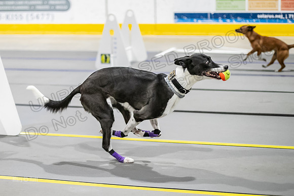 AE4I1803