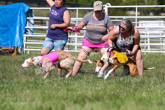 Open Prelim A2, Madyson, Razz-7610