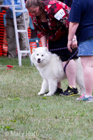 IMG_1730