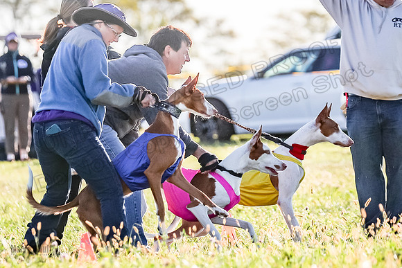 1 Prelims Open 1 Jagger Forrest Maverick-3468