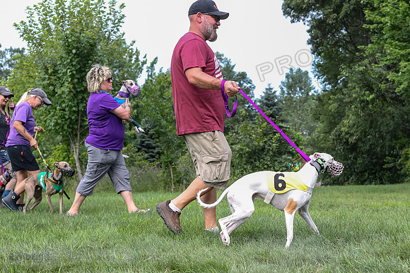 prg 1 race 4 lola Willow Finely Ullr Ready-3567