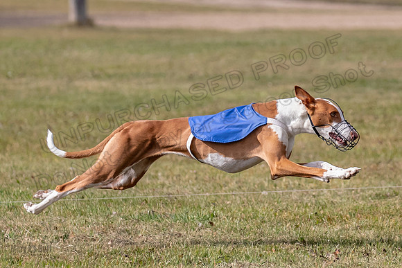 Finals Fch 1 Penny Jadis Madyson-3086