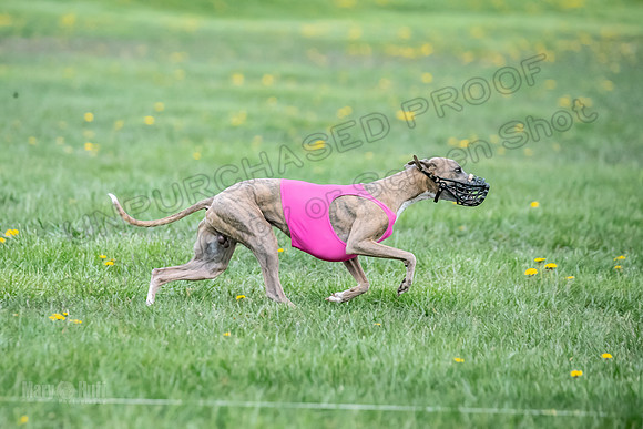 1 Prelim FCh A1 Carrie Finely JesseJames-6641
