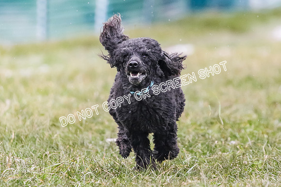 MCH76829