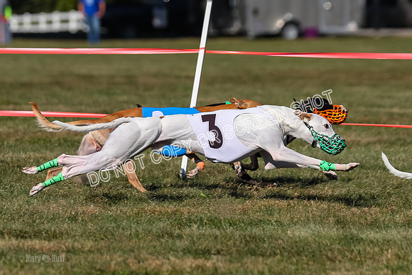 Prg 4, Race 13, oats Bookie Reas Rizzo-2778