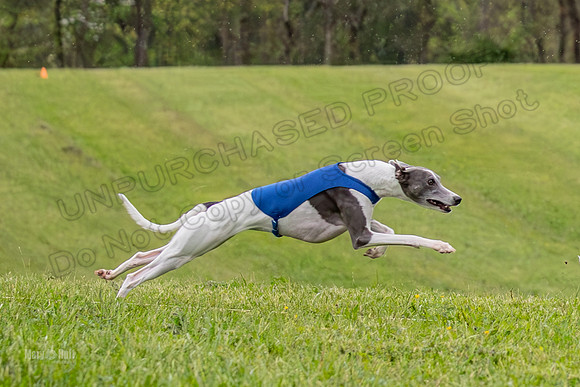 Prelims Open A2, Poppy Mateo Misty-3181