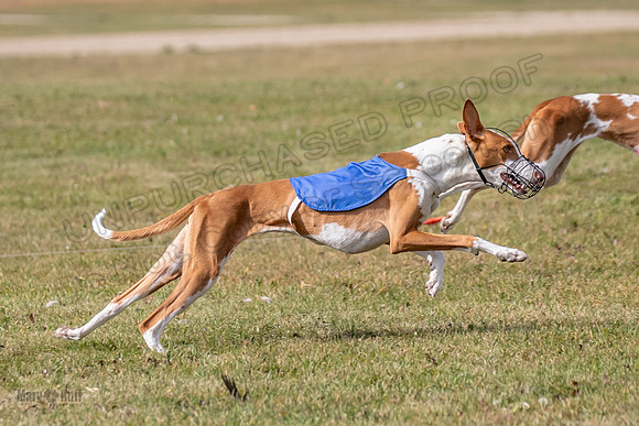 Finals Fch 1 Penny Jadis Madyson-3090