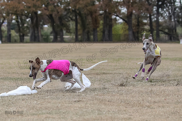 Finals Open 4 Rigel Trixie-4135