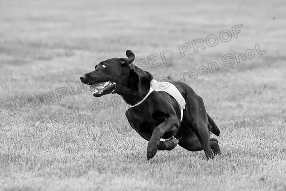 Prelims Rowan-0858-2