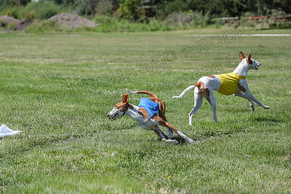 Finals Fch 1 Willow Penny Madyson-8281