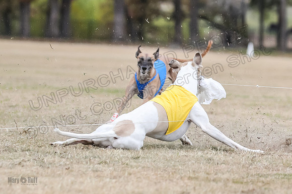Finals Open 2 Cheese PeteySue Treble-3971