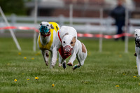 WRA, Prg 1, Race 2, Dash, Reas Mika Buzzsaw Moonstruck Elvis-8257