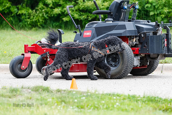 L3 Vehicle-7397
