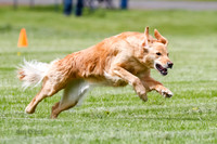 Cat Test 1-0372