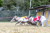 Program 1 Race -0513