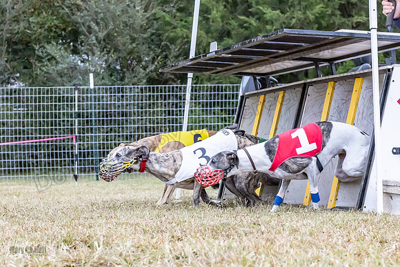 Program 1 Race -0512