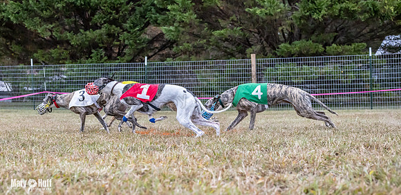 Program 1 Race -0521