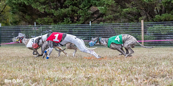 Program 1 Race -0522