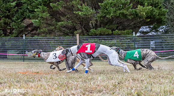 Program 1 Race -0519