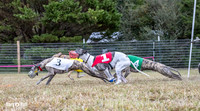 Program 1 Race -0517