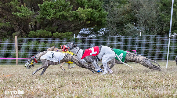 Program 1 Race -0517