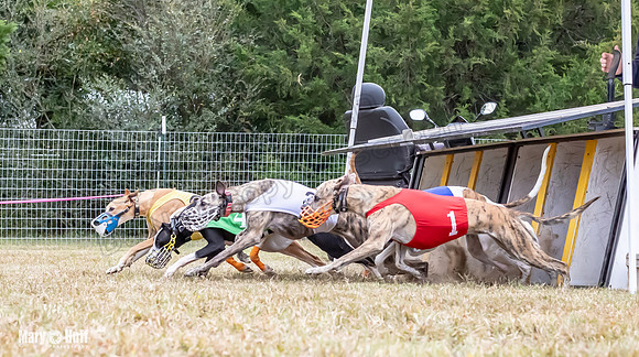 Program 1 Race -3323