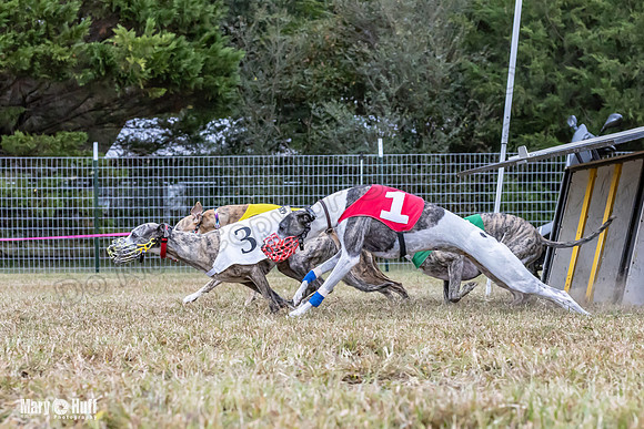 Program 1 Race -0515