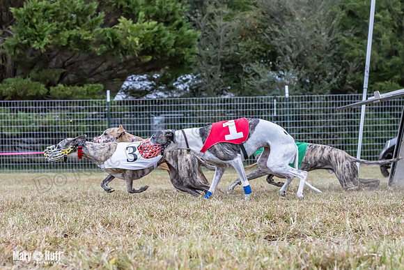 Program 1 Race -0516