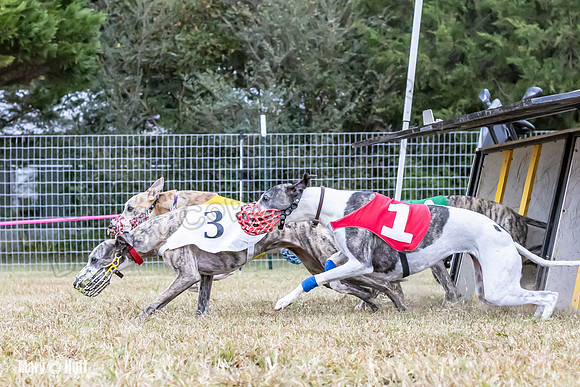 Program 1 Race -0514