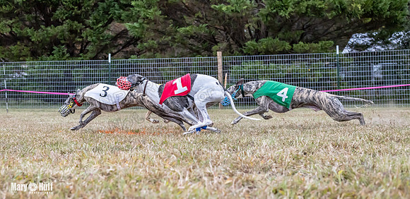 Program 1 Race -0520