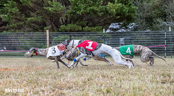 Program 1 Race -0518