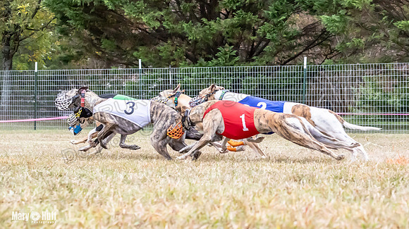 Program 1 Race -3332