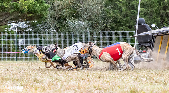 Program 1 Race -3325
